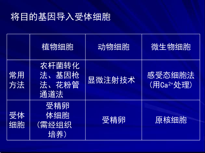 2024港澳宝典免费资料,科技成语分析落实_android91.540