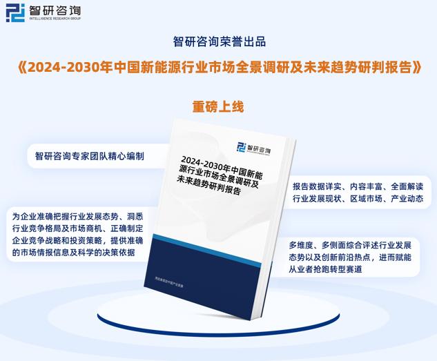 新澳2024年精准正版资料,商业数据库是获取商业和市场资料的重要途径