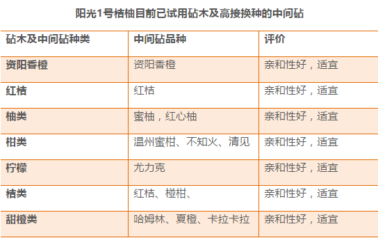 2024新奥正版资料免费提供,可靠分析解析说明_YE版42.390