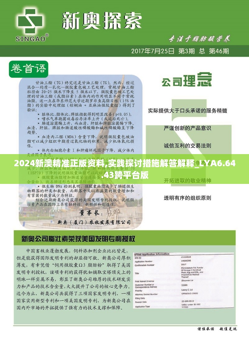 2024新澳精准正版资料,时代资料解释落实_LT93.201