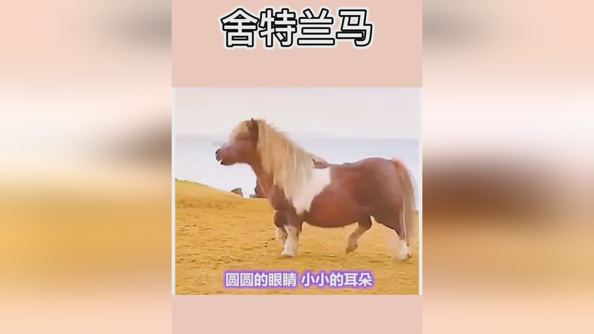 特马,任何人都可以随时查看和验证