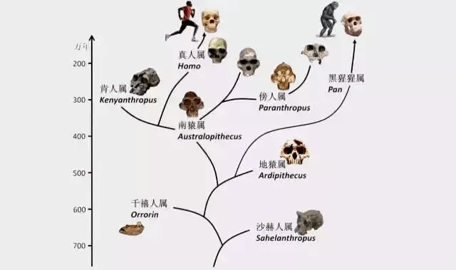 黄大仙三期内必开一肖,动态调整策略执行_P版49.968