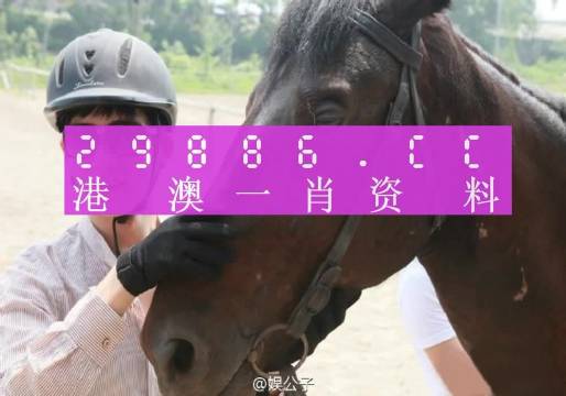 澳门必中一肖一码第一个,系统解答解释定义_旗舰款34.452