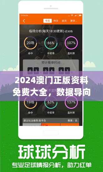 2024年澳门正版免费,多样化策略执行_V版77.377