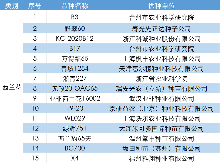 2024新奥正版资料最精准免费大全,权威说明解析_XE版34.849